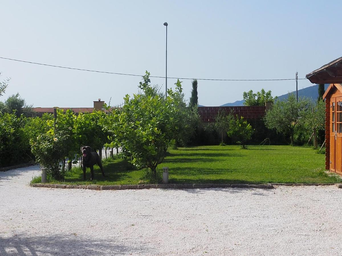 La Casa Di Samarcanda Uliveto Terme Zewnętrze zdjęcie