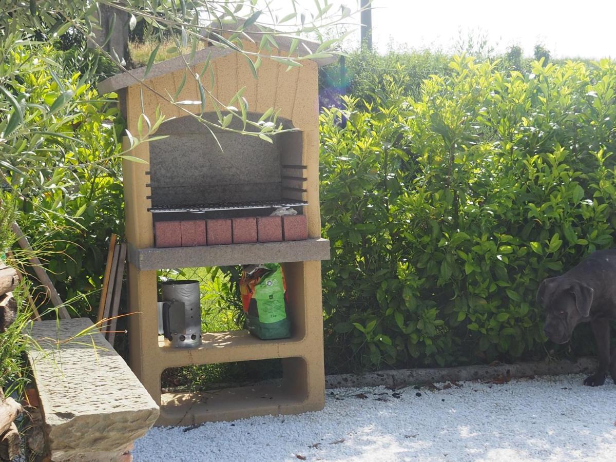 La Casa Di Samarcanda Uliveto Terme Zewnętrze zdjęcie